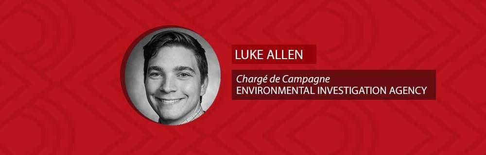 Du bois illégal de Guinée Equatorial aux Etats-Unis en passant par la Chine