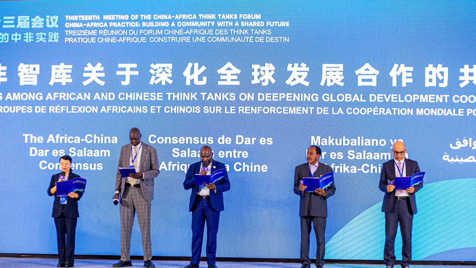 think-tank chine Afrique Tanzanie