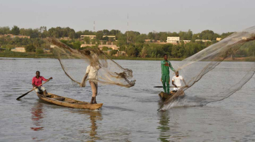 Mines d'or Chine Niger