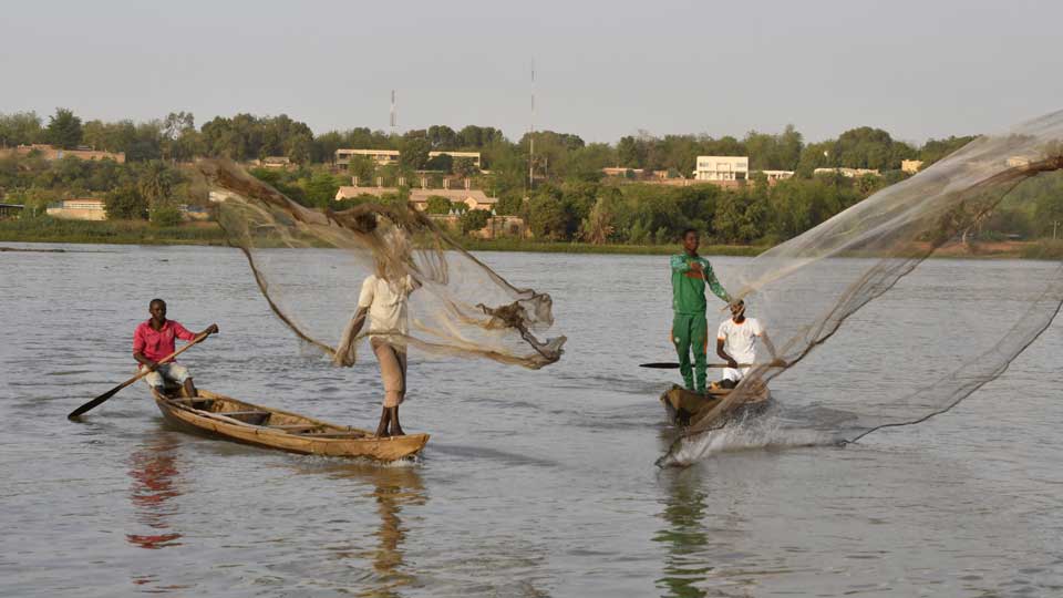 Mines d'or Chine Niger
