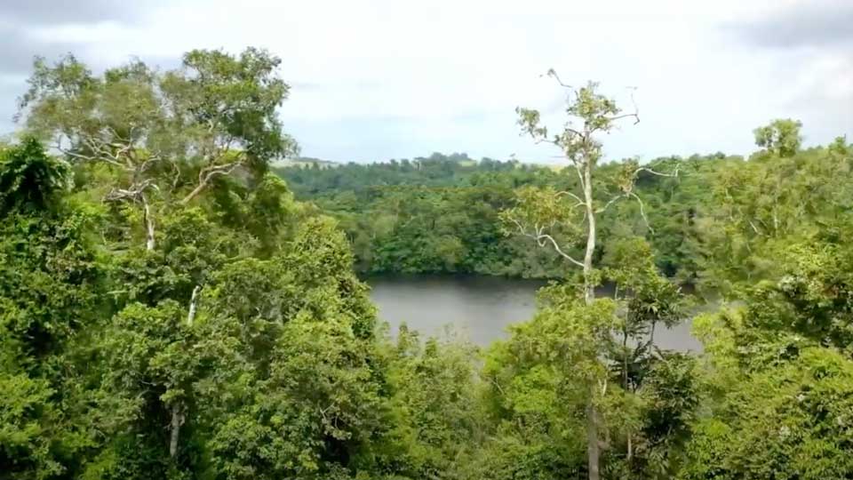 exploration pétrolière chinoise parc national