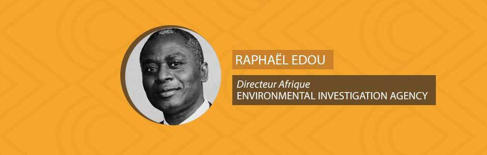 Mozambique trafic de bois insécurité Chine