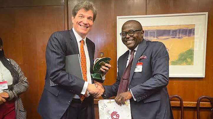 Etats-Unis Gécamines Chinois Norin Mining Chemaf