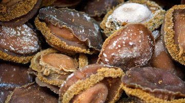 chinois ormeaux afrique du Sud