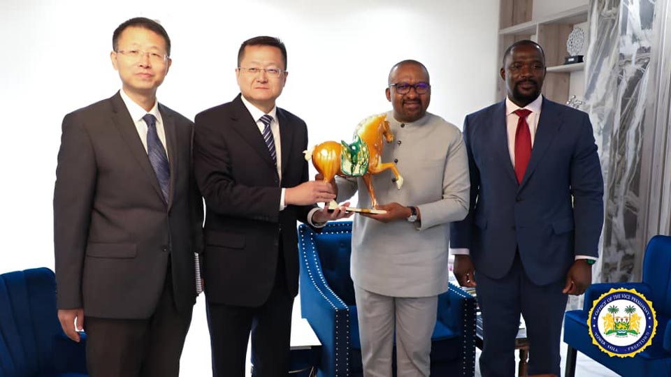 Du Xiaohui Directeur Afrique tournée Tanzanie Congo