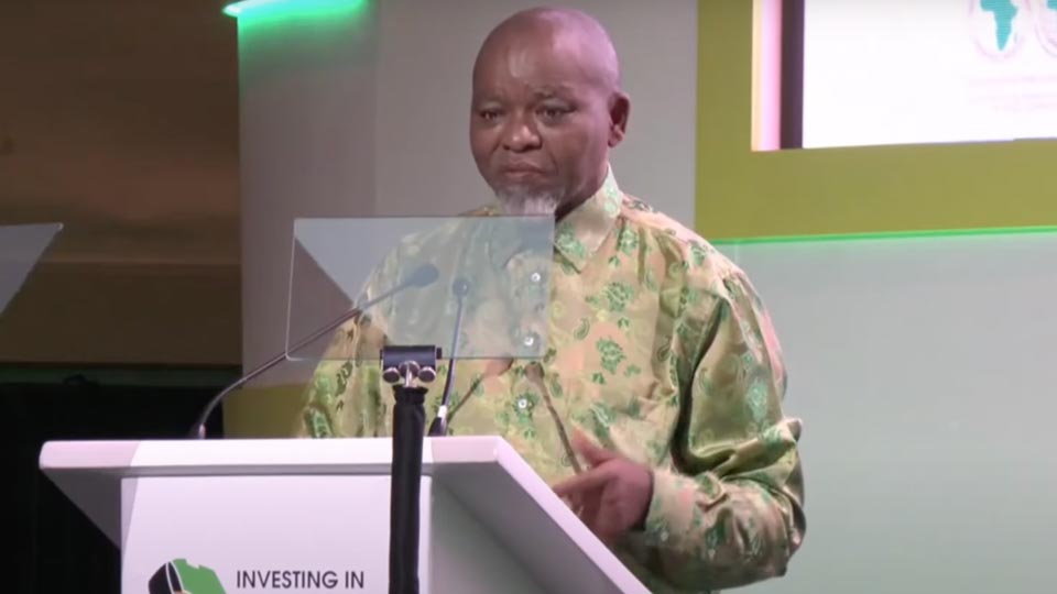 Afrique du Sud Chine relations commerciales