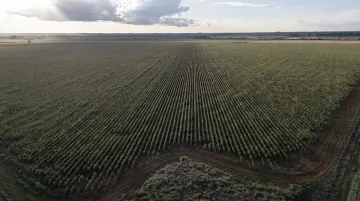 Chine droits de douane pays africains