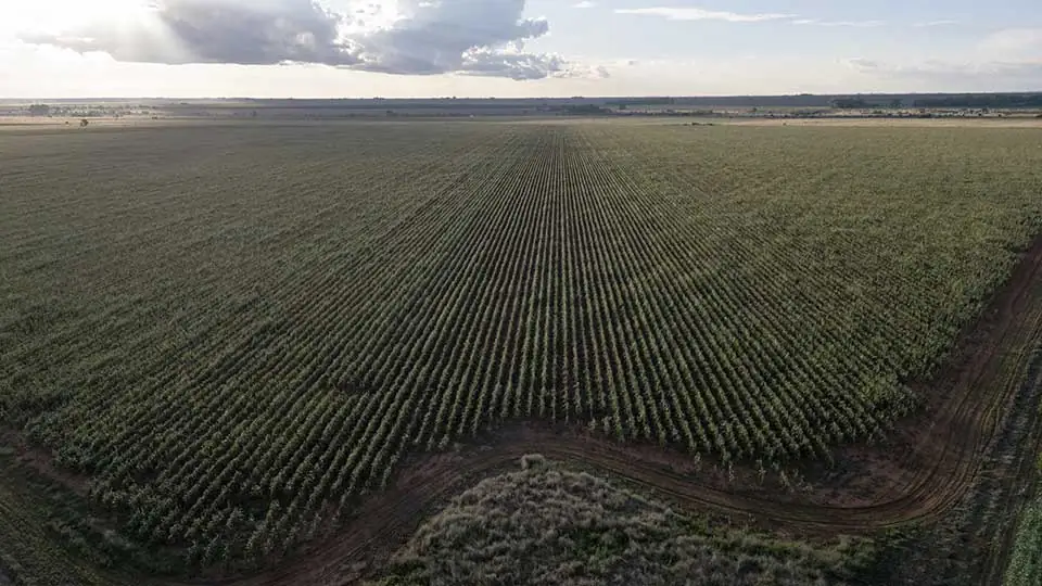 Chine droits de douane pays africains