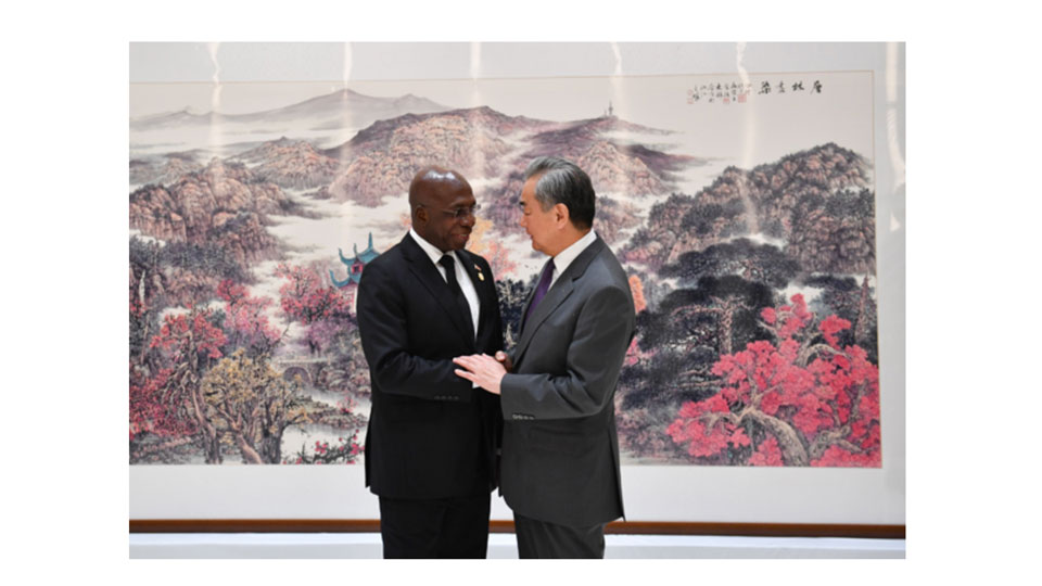 Wang Yi Chine Afrique homologues africains