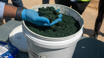 Congo cobalt quotas DLA