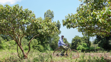 Chine Etats-unis terres rares kényane