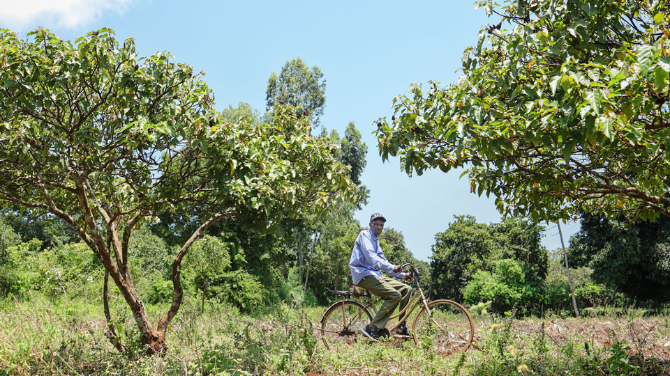 Chine Etats-unis terres rares kényane