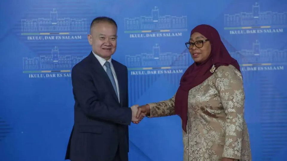 présidente tanzanienne Samia Suluhu Hassan Liu Haixing