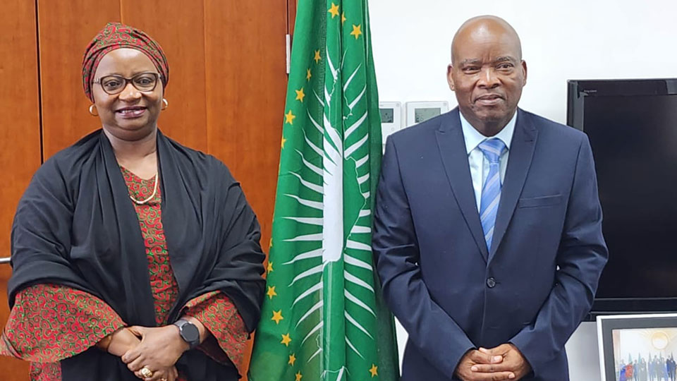 Chine pays africains partenariats