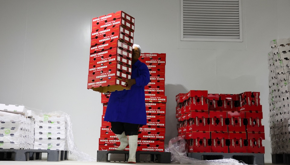 sud-africain de cerises marché chinois